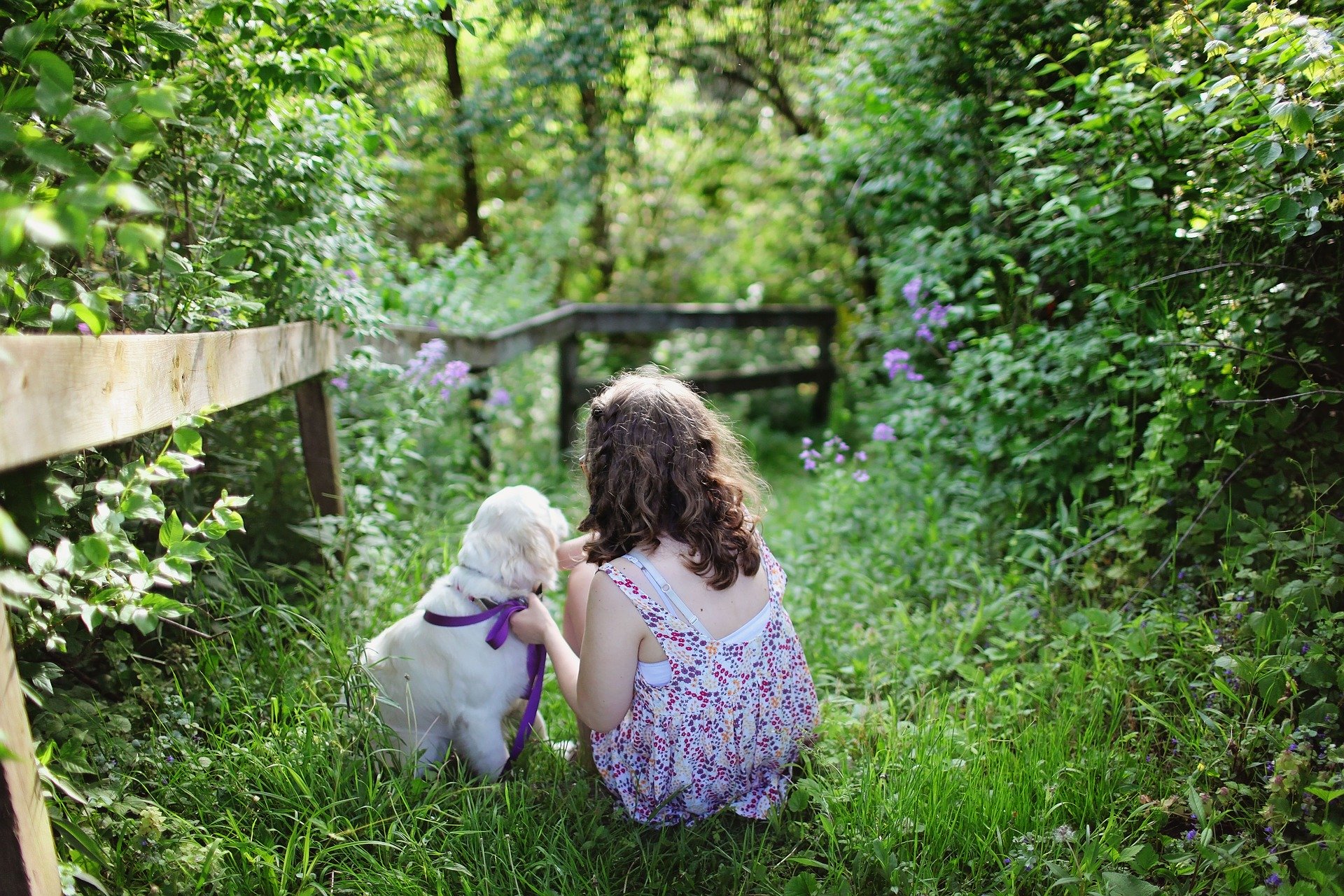 Psy pre deti by mali byť starostlivé, jemné a trpezlivé, napríklad labradorský retríver.