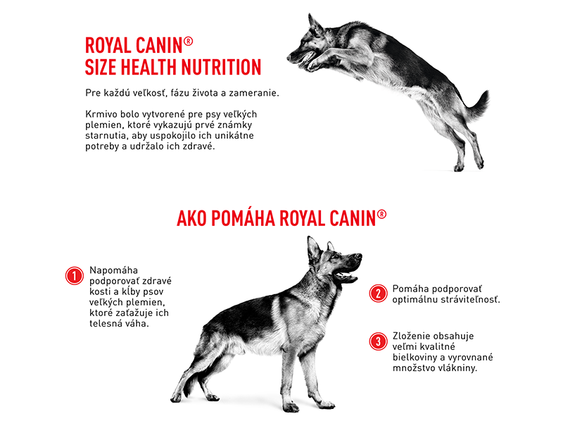 ROYAL CANIN Maxi Adult 5+ granule pre dospelé starnúce veľké psy