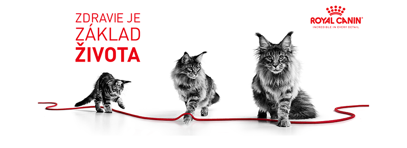 ROYAL CANIN Instinctive Babycat Can konzerva pre dojčiace mačky a mačiatka