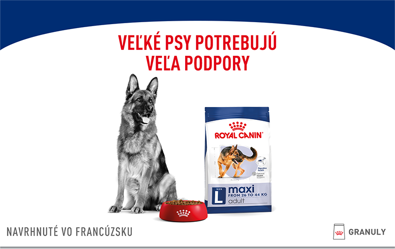 ROYAL CANIN Maxi Adult granule pre dospelých psov veľkých plemien