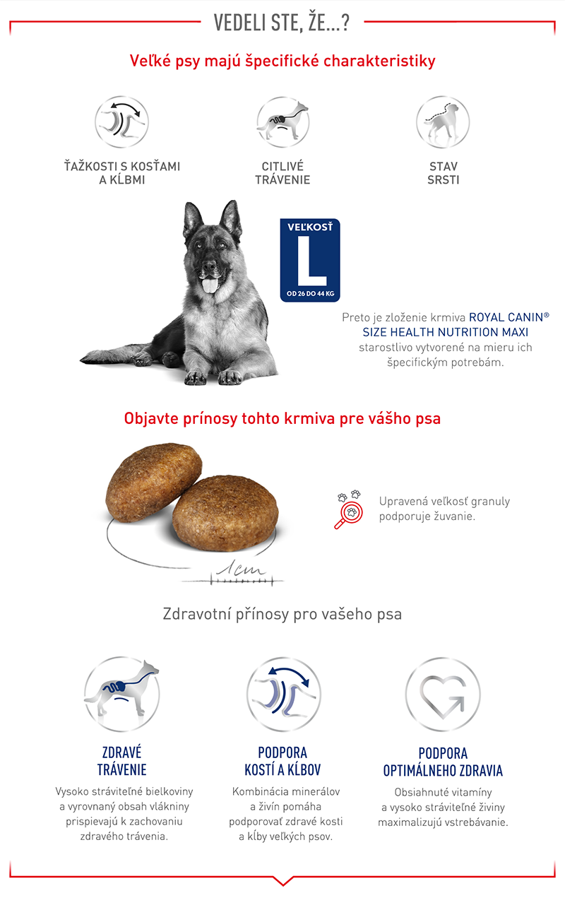 ROYAL CANIN Maxi Adult granule pre dospelých psov veľkých plemien