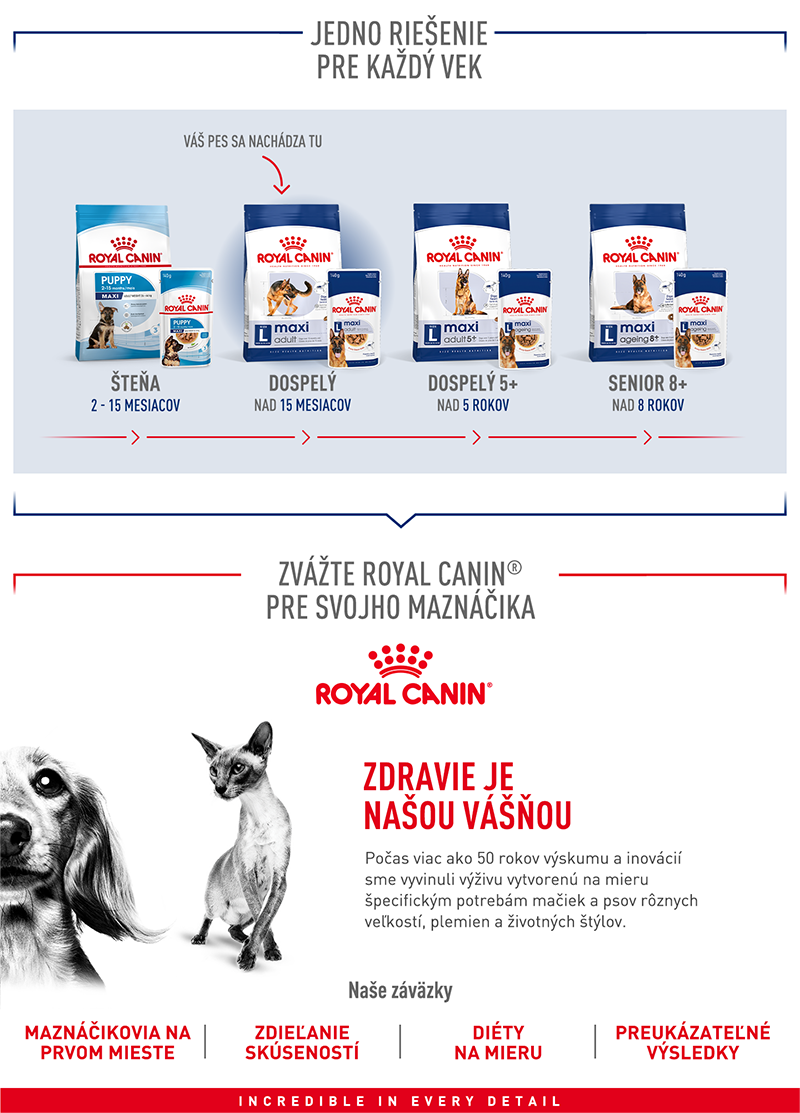 ROYAL CANIN Maxi Adult granule pre dospelých psov veľkých plemien