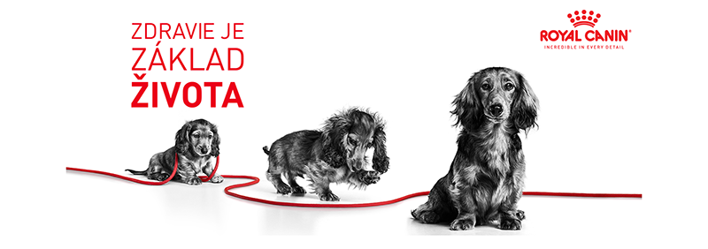 ROYAL CANIN Maxi Puppy granule pre šteňatá veľkých plemien