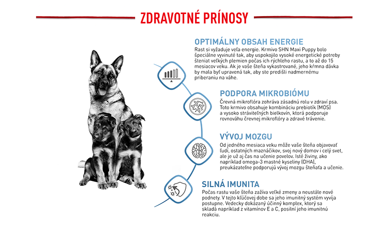 ROYAL CANIN Maxi Puppy granule pre šteňatá veľkých plemien