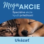 MegaAkcie