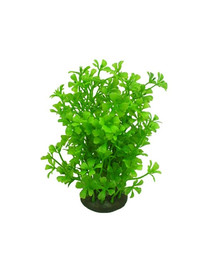 AQUAEL Trsová rastlina Cp-057 6 '' (15 cm)