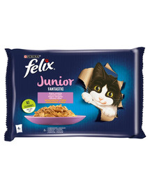 FELIX FANTASTIC Junior Mix Krmivo pre mačiatka príchutí v želé (kuracie, lososové) 4x85g