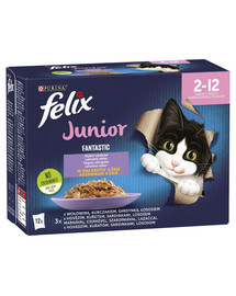 FELIX FANTASTIC Junior Mix v želé (hovädzie, kura, sardinka, losos) 72x85g