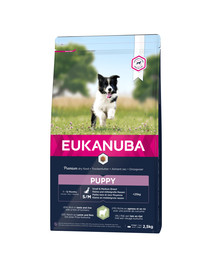 EUKANUBA Eukanuba Dog Puppy Small & Medium Breed Lamb & Rice 2.5 kg