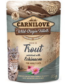 CARNILOVE Trout & Echinacea 24 x 85 g Kapsička pre mačky Pstruh a Echinacea