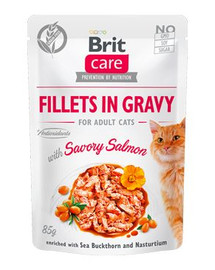 BRIT Care Filety z lososa v omáčke 24 x 85 g