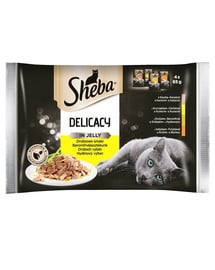 SHEBA Delicacy in Jelly Hydinové príchute 4x85g 3+1 ZADARMO