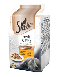 SHEBA Fresh & Fine 72x50g