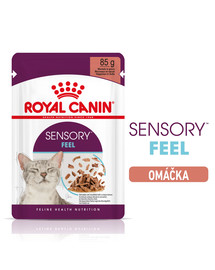 ROYAL CANIN Sensory Feel Gravy 12x85 g