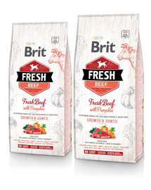 BRIT Fresh beef with pumpkin puppy large 2 x 12 kg
