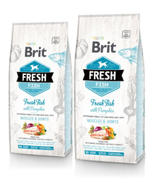 BRIT Fresh fish with pumpkin adult large 2 x 12 kg