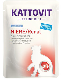 KATTOVIT Feline Diet Niere/Renal s kačacím 85 g