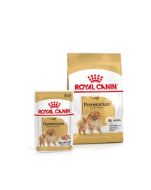 ROYAL CANIN Pomeranian Adult 3 kg + vlhké krmivo Pomeranian Adult 12x85g