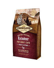 CARNILOVE Cat Grain Free Reindeer Adult Energy & Outdoor 6kg