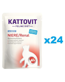 KATTOVIT Feline Diet Niere/Renal s kačacím 24 x 85 g