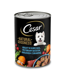 CESAR Konzerva 12x400g pre dospelých psov bohatá na kuracie mäso, so sladkými zemiakmi, hráškom a brusnicami