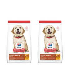 HILL'S Science Plan Puppy Large Breed Chicken 2x14,5 kg
