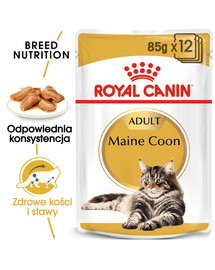 ROYAL CANIN Maine Coon 48x85 g