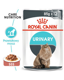 ROYAL CANIN Urinary Care 24x85 g