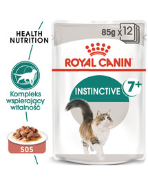 ROYAL CANIN Instinctive +7 24x85g