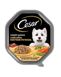 CESAR 14x150 g kompletné vlhké krmivo pre dospelé psy s kuracím mäsom, zeleninou a petržlenovou omáčkou