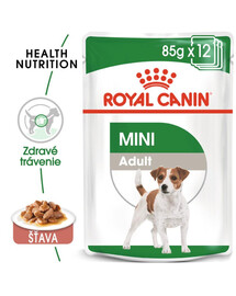 ROYAL CANIN Mini Adult 48x85g kapsička v šťave pre dospelých psov malých plemien