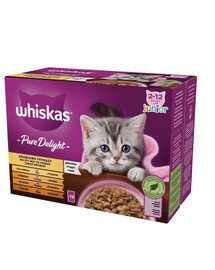 WHISKAS Pure Delight Junior Hydinové lahôdky s kuracím, morčacím, hydinovým a kačacím v želé 12x85g