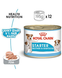 ROYAL CANIN Starter Mousse 24x195g konzerva pre brezivé alebo dojčace suky a šteňatá