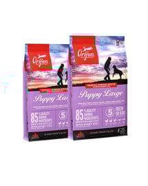 ORIJEN Puppy Large 22,8 kg (2 x 11,4 kg)