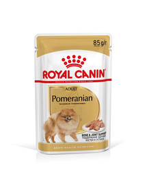 ROYAL CANIN Pomeranian Adult  paštéta 24x85g