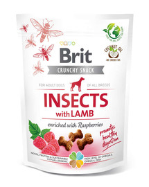 BRIT Care Dog Crunchy Crakcer Insect&Lamb 200 g Pochúťky s hmyzom
