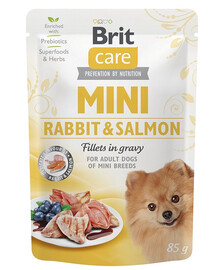 BRIT CARE Mini Adult Pouch Rabbit&Salmon 24x85g s králikom a lososom pre malé plemená psov