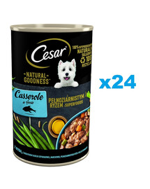 CESAR 24x400g vlhké krmivo pre dospelé psy s rybami v omáčke