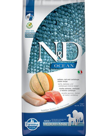 N&D Ocean Dog Adult Medium & Maxi- Krmivo pre psov s  lososom, treskou, tekvicou a melónom  12 kg