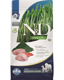 N&D Spirulina Adult Medium&Maxi Lamb & Wolfberry 2 kg