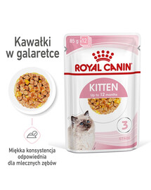 ROYAL CANIN Kitten Instinctive Jelly 48 x 85g kapsička pre mačiatka v želé