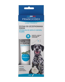 FRANCODEX Zubná kefka a zubná pasta