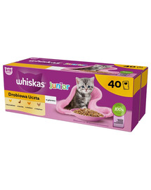 WHISKAS Junior Hydinové hody 40x85g krmivo s kuracím, kačacím, hydinovým a morčacím mäsom v želé pre mačiatka