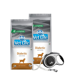 FARMINA Vet Life Dog Diabetic 2 x 12 kg + FLEXI New Comfort L Tape 8 m ZADARMO