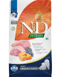Farmina N & D dog GF PUMPKIN puppy medium & maxi lamb & blueberry 2,5 kg