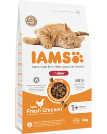 For Vitality Indoor sucha karma z kurczakiem dla dorosłych kotów przebywających w domu 3 kg