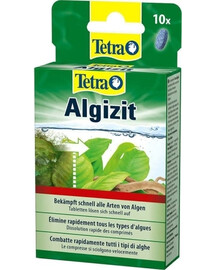 TETRA Algizit 10 tabletek