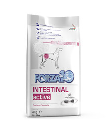 FORZA 10 Intestinal Active Nutraceutická výživa na problémy so zažívacím traktom pre psov 4 kg