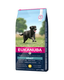 EUKANUBA Active Adult Large Breeds Chicken bohatá na čerstvé kuracie 15 kg