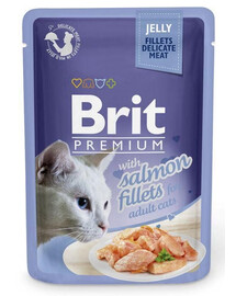 BRIT Premium Cat  Fillets in Jelly vlhké krmivo s lososom pre mačky 24x85 g
